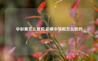 中彩票怎么算税,彩票中奖税怎么收的