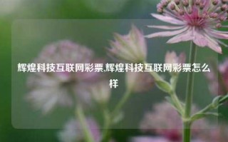 辉煌科技互联网彩票,辉煌科技互联网彩票怎么样