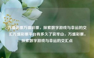 万盛彩票万盛彩票，探索数字游戏与幸运的交汇万盛彩票平台有多久了哀牢山，万盛彩票，探索数字游戏与幸运的交汇点，万盛彩票，探索数字游戏与幸运的交汇点