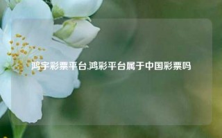 鸿宇彩票平台,鸿彩平台属于中国彩票吗