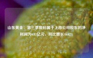 山东黄金：第三季度归属于上市公司股东的净利润为6.83亿元，同比增长46.62%