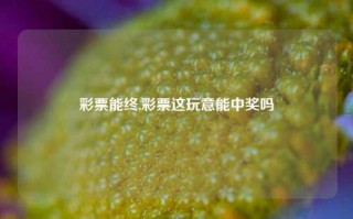 彩票能终,彩票这玩意能中奖吗