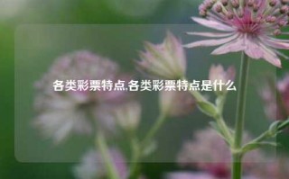 各类彩票特点,各类彩票特点是什么