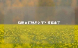 马斯克打算怎么干？答案来了