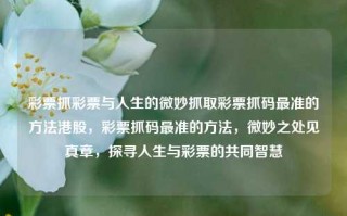 彩票抓彩票与人生的微妙抓取彩票抓码最准的方法港股，彩票抓码最准的方法，微妙之处见真章，探寻人生与彩票的共同智慧，彩票与人生的微妙交汇，探寻最准彩票抓码方法与人生智慧