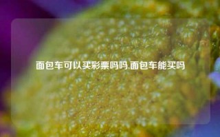 面包车可以买彩票吗吗,面包车能买吗