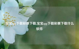 宝宝app下载彩票下载,宝宝app下载彩票下载什么软件