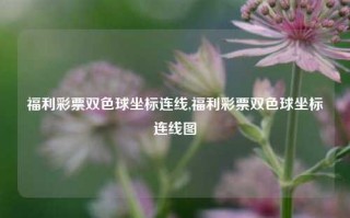 福利彩票双色球坐标连线,福利彩票双色球坐标连线图