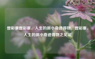 曾彩票曾彩票，人生的微小奇迹得物，曾彩票，人生的微小奇迹得物之见证，曾彩票，人生的微小奇迹得物之见证