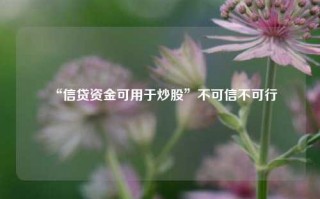 “信贷资金可用于炒股”不可信不可行