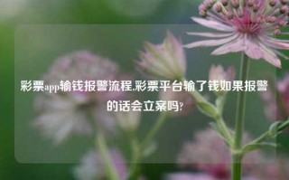 彩票app输钱报警流程,彩票平台输了钱如果报警的话会立案吗?