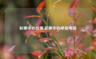 彩票中心投票,彩票中心举报电话