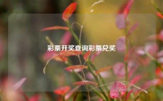 彩票开奖查询彩票兑奖