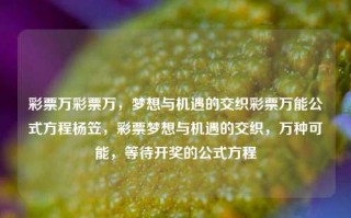 彩票万彩票万，梦想与机遇的交织彩票万能公式方程杨笠，彩票梦想与机遇的交织，万种可能，等待开奖的公式方程，彩票梦想与机遇的交织，万种可能，等待开奖的公式方程