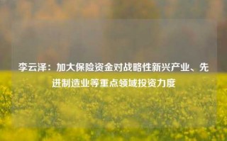 李云泽：加大保险资金对战略性新兴产业、先进制造业等重点领域投资力度