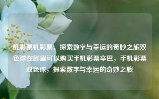 机彩票机彩票，探索数字与幸运的奇妙之旅双色球在哪里可以购买手机彩票辛巴，手机彩票双色球，探索数字与幸运的奇妙之旅，探索数字与幸运的奇妙之旅，手机彩票双色球购买指南