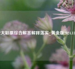 北大彩票综合解答解释落实_黄金版2024.11.09