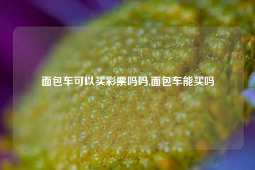 面包车可以买彩票吗吗,面包车能买吗-第1张图片-彩票联盟