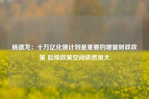 杨德龙：十万亿化债计划是重要的增量财政政策 后续政策空间依然很大-第1张图片-彩票联盟