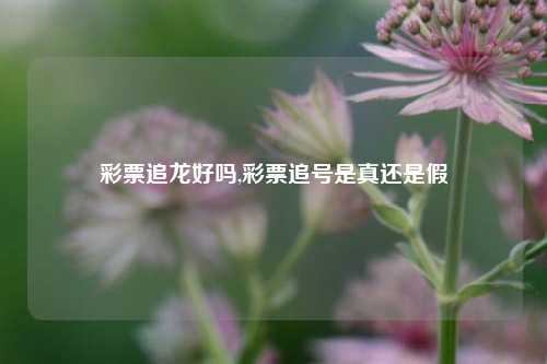 彩票追龙好吗,彩票追号是真还是假-第1张图片-彩票联盟