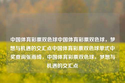 中国体育彩票双色球中国体育彩票双色球，梦想与机遇的交汇点中国体育彩票双色球单式中奖查询张雨绮，中国体育彩票双色球，梦想与机遇的交汇点，中国体育彩票双色球，梦想与机遇的交汇之路-第1张图片-彩票联盟