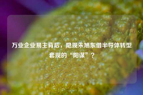 万业企业易主背后，隐现朱旭东借半导体转型套现的“阳谋”？-第1张图片-彩票联盟