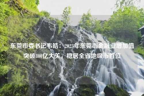 东莞市委书记韦皓：2023年东莞市金融业增加值突破800亿大关，稳居全省地级市首位