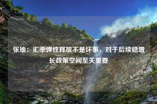 张瑜：汇率弹性释放不是坏事，对于后续稳增长政策空间至关重要