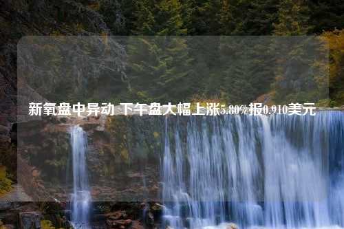 新氧盘中异动 下午盘大幅上涨5.80%报0.910美元