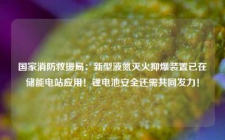 国家消防救援局：新型液氮灭火抑爆装置已在储能电站应用！锂电池安全还需共同发力！