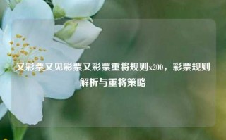 又彩票又见彩票又彩票重将规则x200，彩票规则解析与重将策略，彩票规则解析与重将策略，深度解读彩票规则与提升中奖机率的方法