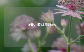 71天，收益率超80%