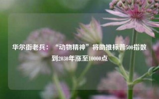 华尔街老兵：“动物精神”将助推标普500指数到2030年涨至10000点