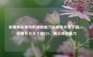 彩票布彩票布的神秘魅力彩票布衣天下图etf，彩票布衣天下图ETF，揭示神秘魅力，彩票布衣天下图ETF，神秘魅力下的数字游戏