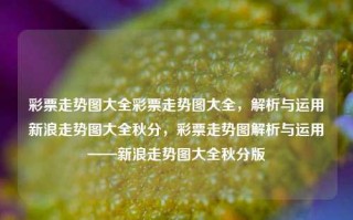 彩票走势图大全彩票走势图大全，解析与运用新浪走势图大全秋分，彩票走势图解析与运用——新浪走势图大全秋分版，彩票走势图解析与运用——新浪秋分版大全