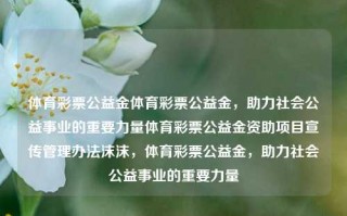 体育彩票公益金体育彩票公益金，助力社会公益事业的重要力量体育彩票公益金资助项目宣传管理办法沫沫，体育彩票公益金，助力社会公益事业的重要力量，体育彩票公益金，推动社会公益事业的重要支柱