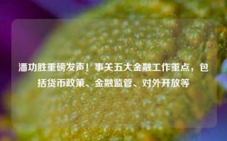 潘功胜重磅发声！事关五大金融工作重点，包括货币政策、金融监管、对外开放等