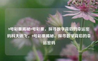 9号彩票揭秘9号彩票，探寻数字背后的幸运密码科大讯飞，9号彩票揭秘，探寻数字背后的幸运密码，9号彩票揭秘，探寻数字背后的幸运密码科大讯飞