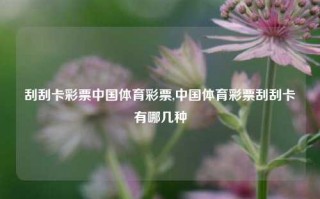 刮刮卡彩票中国体育彩票,中国体育彩票刮刮卡有哪几种