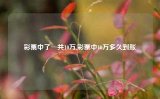 彩票中了一共10万,彩票中10万多久到账