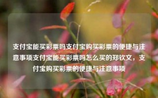 支付宝能买彩票吗支付宝购买彩票的便捷与注意事项支付宝能买彩票吗怎么买的郑钦文，支付宝购买彩票的便捷与注意事项，支付宝购买彩票的便捷性及注意事项