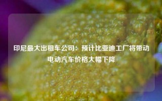 印尼最大出租车公司：预计比亚迪工厂将带动电动汽车价格大幅下降