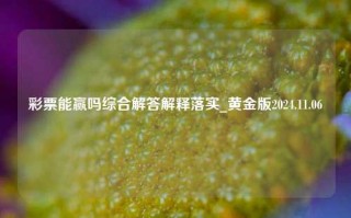 彩票能赢吗综合解答解释落实_黄金版2024.11.06