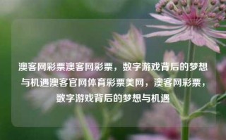 澳客网彩票澳客网彩票，数字游戏背后的梦想与机遇澳客官网体育彩票美网，澳客网彩票，数字游戏背后的梦想与机遇，澳客网彩票，数字游戏背后的梦想与机遇