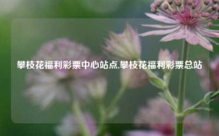 攀枝花福利彩票中心站点,攀枝花福利彩票总站