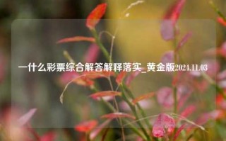 一什么彩票综合解答解释落实_黄金版2024.11.03