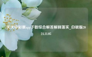 天天中彩票app下载综合解答解释落实_白银版2024.11.05