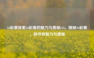 16彩票探索16彩票的魅力与奥秘s14，揭秘16彩票，探寻其魅力与奥秘，揭秘16彩票的魅力与奥秘