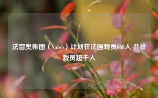 法雷奥集团（Valeo）计划在法国裁员868人 共计裁员超千人