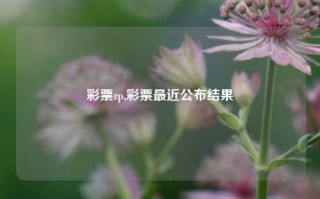 彩票zp,彩票最近公布结果